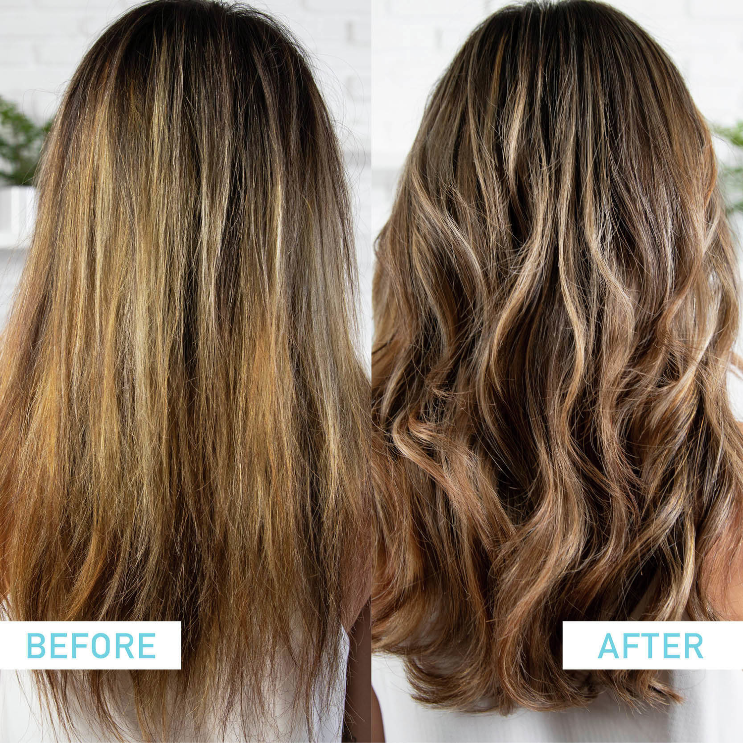 Blonde hair care system with purple shampoo for highlighted, heavy lifted hair if you have brunette, highlighted hair - Pureology